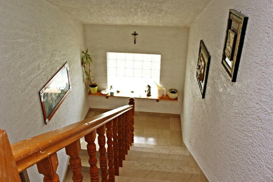 Apartment Antonio 扎达尔 外观 照片